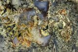 Graveyard Plume Agate Section - Eastern Oregon #152643-1